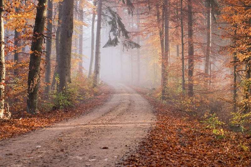 Road to Personal Growth