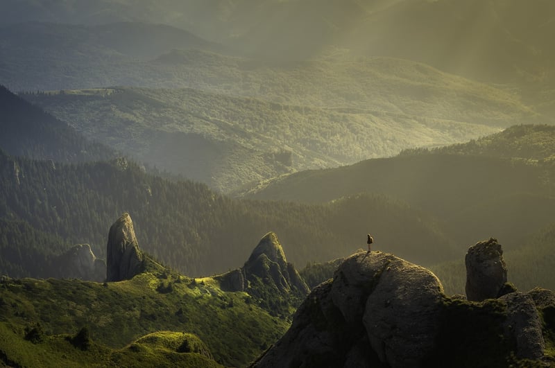 Self-Care in Nature